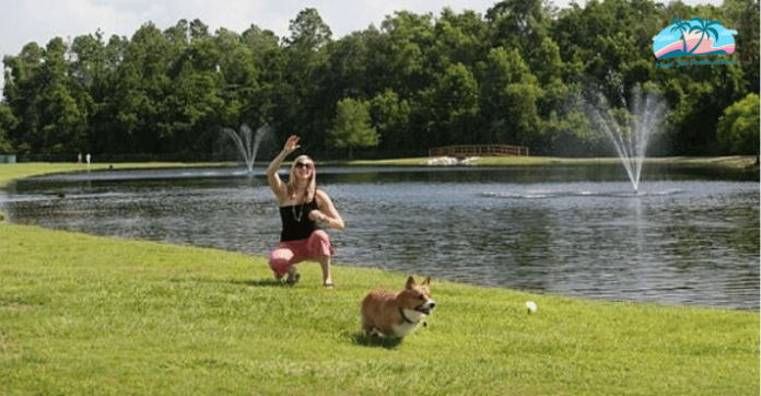 Dog Parks in Jacksonville Florida