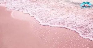 Pink Sand Clearwater Beach