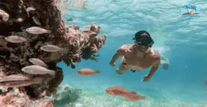 Snorkeling in Punta Cana’s Natural Pool
